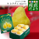 【お歳暮 ギフト】新潟県産 ル レクチェ 秀品 2キロ(4玉から7玉) 洋ナシ 洋梨 ル・レクチェ 冬ギフト 御歳暮 送料無料