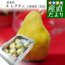 新潟県産　ル レクチェ ご家庭用（良品） 2キロ(4玉から8玉) 洋ナシ 洋梨 ル・レクチェ 送料無料