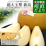 新潟県産 JAえちご中越 糖度13度以上 超大玉梨 新高 「最上位等級：糖鮮確実 (とうせんかくじつ)」 大玉 …