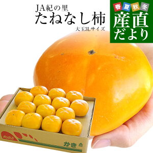 a̎RYn JAI̗ ˂Ȃ` 3LTCY 3.75L(14ʓ) JL  ` 