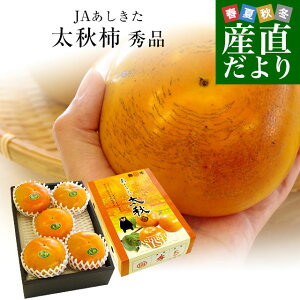 熊本県より産地直送 JAあしきた 太秋柿 2キロ(5玉から6玉) 送料無料 柿 かき