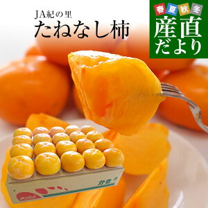 a̎RYn JAI̗ ˂Ȃ` 2LMTCY 3.75L(16ʂ20)  JL  `