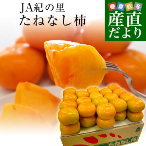 a̎RYn JAI̗ ˂Ȃ` 2LLTCY 7.5Li32ʂ36ʁjJL ` j`@Ƃ˂@Ђ炽˂Ȃ