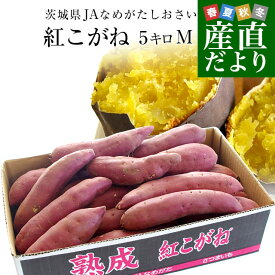 茨城県より産地直送 JAなめがたしおさい さつまいも「熟成紅こがね」 Mサイズ 約5キロ（18本前後） 送料無料 行方 薩摩芋