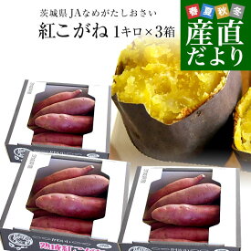 茨城県より産地直送 JAなめがたしおさい さつまいも「熟成紅こがね」 SからSSサイズ 約1キロ（5本から10本）3箱セット 送料無料 行方 薩摩芋