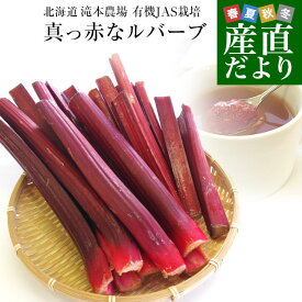 北海道より産地直送 有機JAS認定の滝本農場 真っ赤なルバーブ 約1キロ 送料無料 るばーぶ 赤いルバーブ