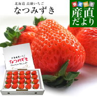 北海道より産地直送 高級いちご なつみずき　約300g（20粒から24粒）化粧箱入り イチゴ 苺 夏イチゴ