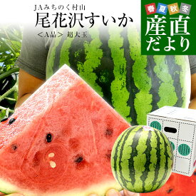 山形県産 JAみちのく村山 尾花沢すいか ＜A品＞ 大玉5Lサイズ以上 1玉 9キロ以上　西瓜 スイカ すいか 送料無料