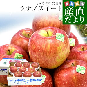 쌧Y JAÂ ܖ VimXC[g 3L i8ʂ10ʁj   ь sꔭ