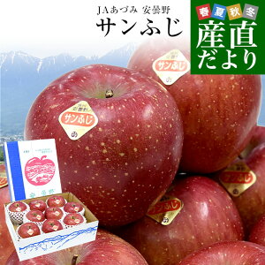 長野県産 JAあづみ 安曇野 サンふじ 約3キロ (8玉から10玉) 送料無料 りんご 林檎 市場発送