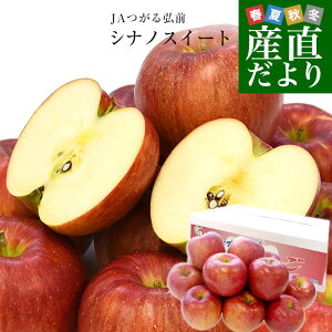 XYn JAOO VimXC[g 3L (9ʂ13)   S ь