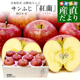 青森県産 高糖度りんご サンふじ 「紅蘭（こうらん）」 約3キロ (9玉から12玉) 送料無料 りんご リンゴ 林檎 市場発送