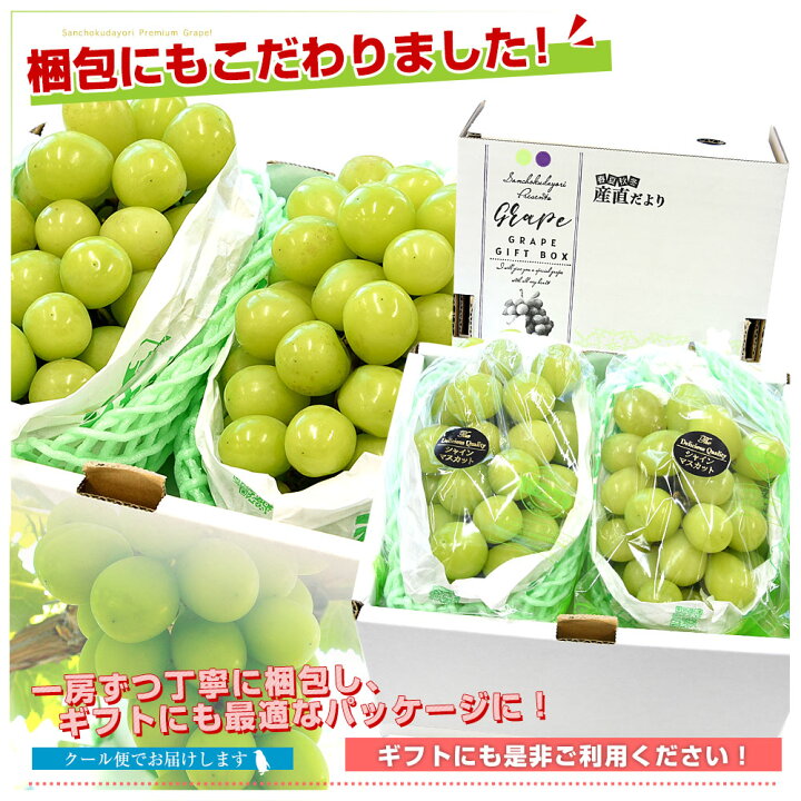 楽天市場】【予約商品】山梨県産 JAふえふき 大型シャインマスカット 