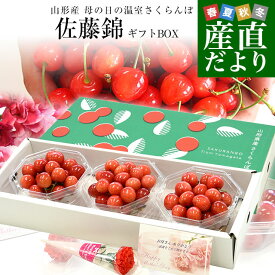 母の日ギフト 山形県 温室栽培さくらんぼ 佐藤錦 秀品 合計300g　ダイヤパック×3P (約100g×3P) 送料無料 母の日プレゼント 桜桃 さとうにしき