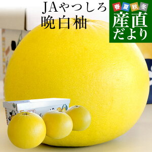 F{YJA ӔM  3ʓ 4L5L  ΂؂ sꔭ k 