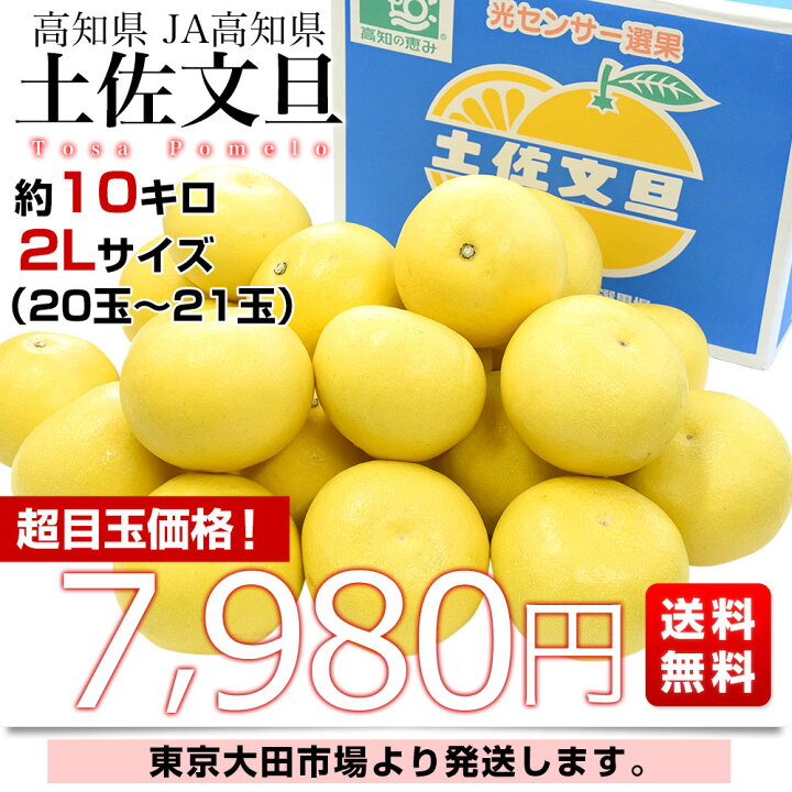 楽天市場】高知県産 JA高知県 土佐文旦 約10キロ 2Lサイズ（20玉から21 