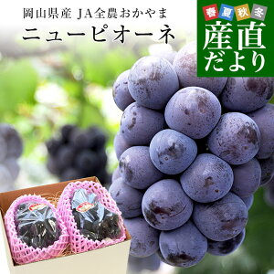 RY j[sI[l Giȏ 1.2L(600g×2[)@ uhE  ȂԂǂ sI[l Ԃǂ N[