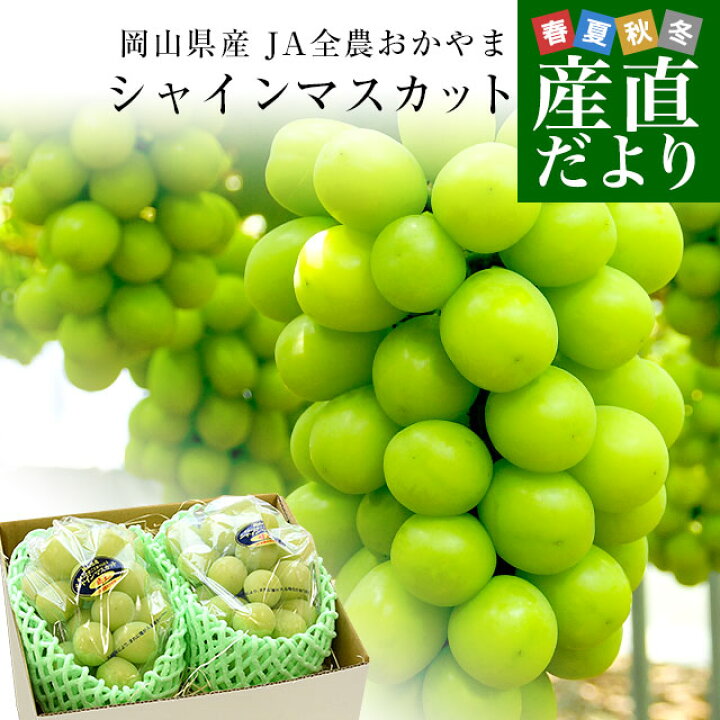 楽天市場】岡山県産 JA全農おかやま シャインマスカット 晴王 青秀 約 