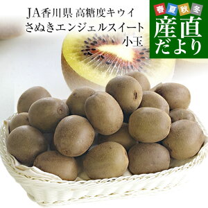 쌧Yn JA쌧 LECt[c ʂGWFXC[g 1.4L i28ʑOj LECt[c 