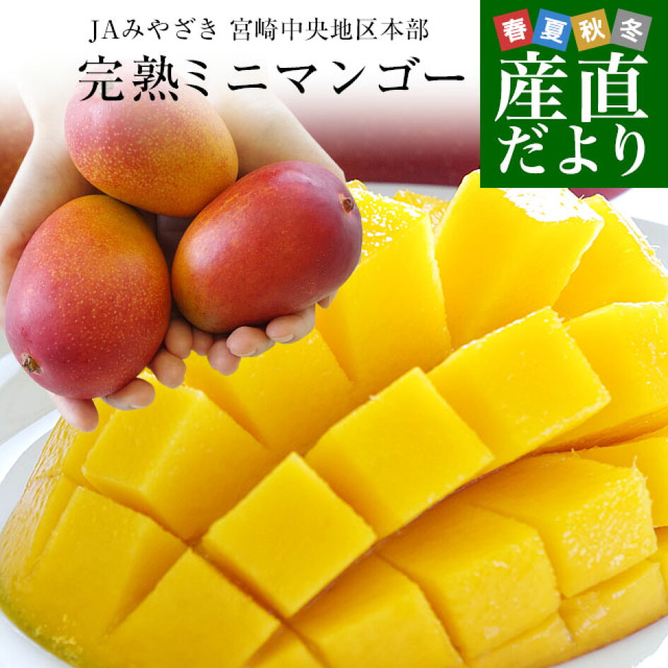 楽天市場 | 産直だより - マンゴー特集