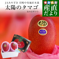 【父の日ギフト】宮崎県より産地直送 JAみやざき 宮崎中央地区本部 完熟マンゴー 太陽のタマゴ 2L×2玉 …