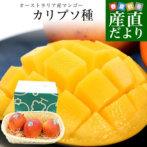 I[XgAY }S[ Jv\ 1.2L (3)  }S[ gsJt[c