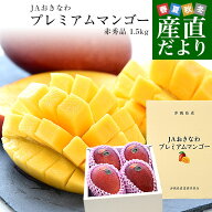 沖縄県からクール航空便で産地直送 JAおきなわ プレミアムマンゴー 赤秀品 大玉3Lから2Lサイズ 1.5キロ前…