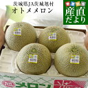 茨城県産 JA茨城旭村 オトメメロン A品 4Lから3Lサイズ 約5キロ (3玉から4玉) 送料無料 メロン めろん 青肉メロン