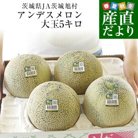 茨城県産 JA茨城旭村 アンデスメロン A品 4Lから3Lサイズ 約5キロ (3玉から4玉) 送料無料 メロン めろん 青肉メロン