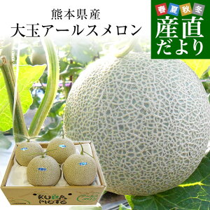 F{Y ʃA[X@8L̔i4ʓj ߂ A[X }XN