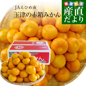 愛媛県より産地直送 JAえひめ南 玉津共選場 玉津の赤箱みかん LからMサイズ 5キロ 送料無料 蜜柑 みかん