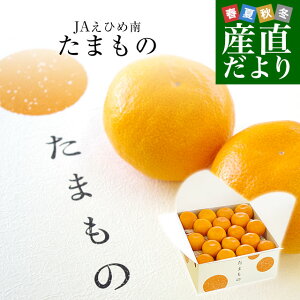 yΕ MtgzQYn JAЂߓ G݂u܂́v 3.5L MTCY(35ʓ)   ~J