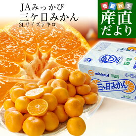 【家計応援価格！】静岡県産 JAみっかび 三ケ日みかん (青島種) 3Lサイズ 7キロ (30玉から40玉）送料無料 三ヶ日 みつかび ミカン 温州みかん