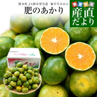 熊本県 JA熊本果実連 極早生みかん「肥のあかり」 約5キロ 2Sサイズ（85玉前後） 送料無料 蜜柑 ミカン