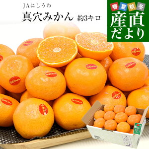 yΕ MtgzQ JAɂ ^݂ 3L2LTCYi21)  ~J  Q݂ sꔭ