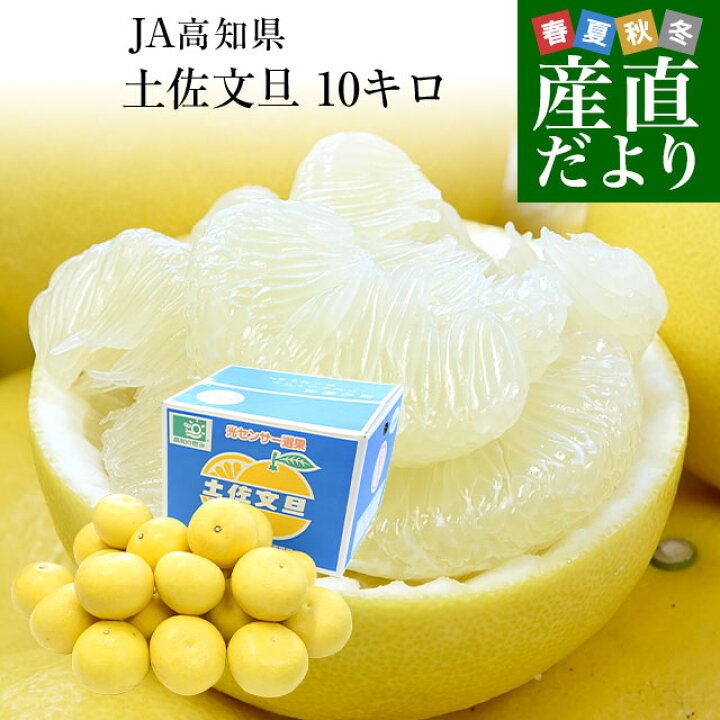 楽天市場】高知県産 JA高知県 土佐文旦 約10キロ 2Lサイズ（20玉から21 