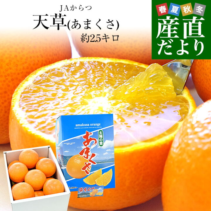 楽天市場】佐賀県 JAからつ 天草(あまくさ) 秀品 約2.5キロ(12玉から15 