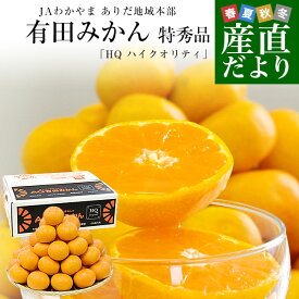 【お歳暮 ギフト】和歌山県より産地直送JAわかやま ありだ地域本部 有田みかん 糖度12度以上 特秀品「HQ ハイクオリティ」LからSサイズ 5キロ(40玉から60玉) 送料無料