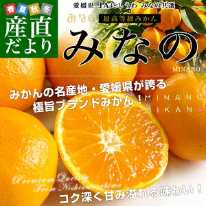 yΕ MtgzQYn JAɂ ݂Ȃ̋I ō݂uGi݂Ȃ́vLSTCY 5L(40ʂ60ʑO) 