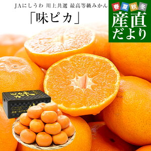 yΕ MtgzQ JAɂ ㋤I ō݂usJvLSTCY 2.5Li20ʂ30ʑOj  ~J sꔭ