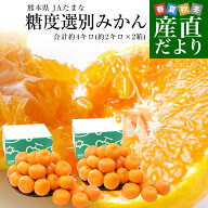 熊本県 JAたまな 糖度選別みかん 約2キロ×2箱 MからSSサイズ (合計40玉から60玉前後）送料無料 蜜柑 み…