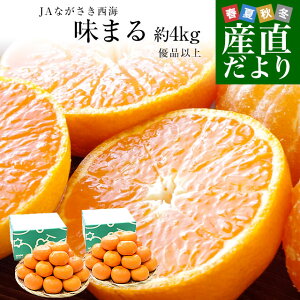 y_ChEv`iN[|zzz茧 JAȂC ܂ 2L×2 LSTCYiv32ʂ48ʑOjDiȏ ~J  