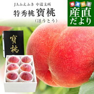 山梨県より産地直送 山梨 JAふえふき中道支所 特秀桃 寶桃（ほうとう）約2キロ（5玉から7玉）もも　桃　…