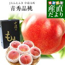 山梨県より産地直送　山梨JAふえふき中道支所　青秀品桃 約1.5キロ（4玉から6玉）送料無料　もも　桃、モモ、ピーチ ギフト 夏ギフト お中元 御中元