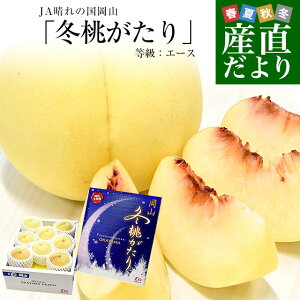 yΕ MtgzR JA̍Ru~vFG[X 1.3L (5ʂ9ʓ) ϔ    s[`