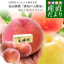 山梨県より産地直送 JAふえふき御坂支所 最高級桃「御坂の大糖領」 超大玉 約1キロ （3玉入） 送料無料 もも モモ ギフト 夏ギフト お中元 御中元