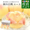 岡山県 JA全農おかやま 岡山白桃 等級：エース 約1.7キロ（6玉）送料無料 もも モモ はくとう ピーチ ギフト 夏ギフト お中元 御中元