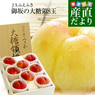 山梨県より産地直送 JAふえふき御坂支所 最高級桃「御坂の大糖領」 約2.2キロ (8玉入) 送料無料 もも モ…