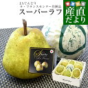 【お歳暮 ギフト】山形県から産地直送 JAてんどう スーパーラフ 約2.3キロ 3Lから2Lサイズ(7玉から8玉入り) 送料無料 洋梨 ラフランス ギフト