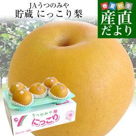栃木県より産地直送 JAうつのみや 栃木県オリジナル品種 貯蔵 にっこり梨 5キロ (5玉から7玉)送料無料 山口果樹園・島田梨園他 なし ナシ